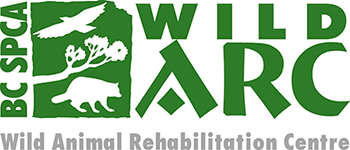 Wild ARC Logo